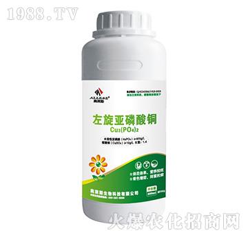 �����������~-�W�R˹