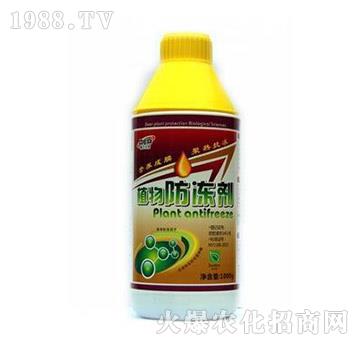 ֲ-?tng)? width=