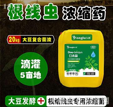 �A(y��)�����Y(ji��)���x���ô󶹰l(f��)�͝�s��Һ-������-���r(n��ng)��¶