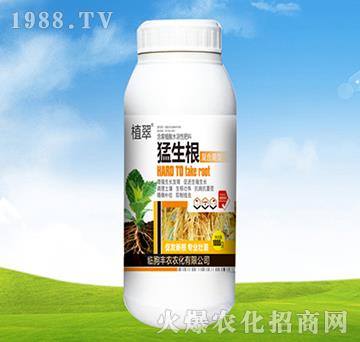 ������-ֲ��-�S�r�r��