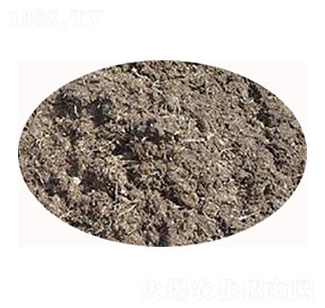 ɽ�|���u�S-���S����