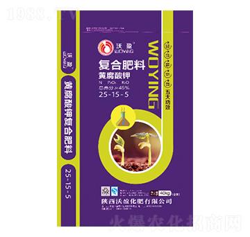 �S����⛏�(f��)�Ϸ���25-15-5-��ӯ����