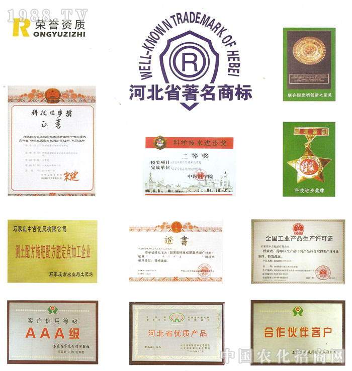 ʯ���f�м��������޹�˾