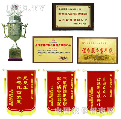 ɽ����Դ�������޹�˾