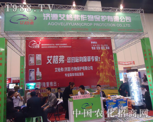 ���������N�����݌�����