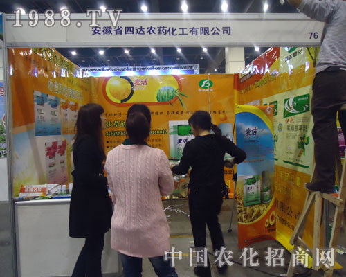 ���_�������ɿ�