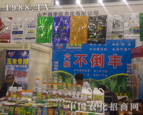 六能不倒豐誠(chéng)招各地代理商