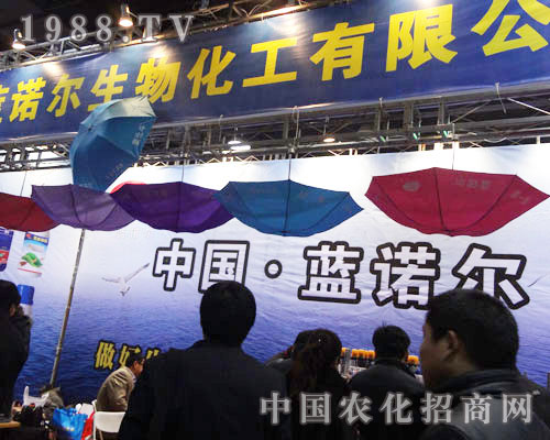 �{(l��n)�Z������