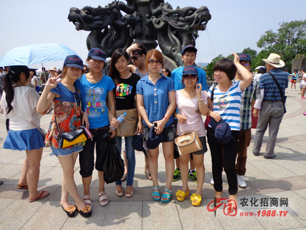 ���� 픲�ס̫�(y��ng)���˰�