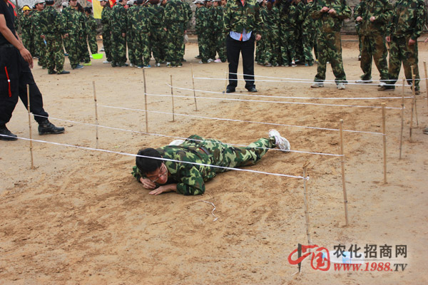 �����D�y