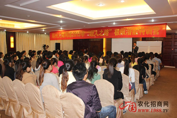 自我認(rèn)知與團隊訓(xùn)練