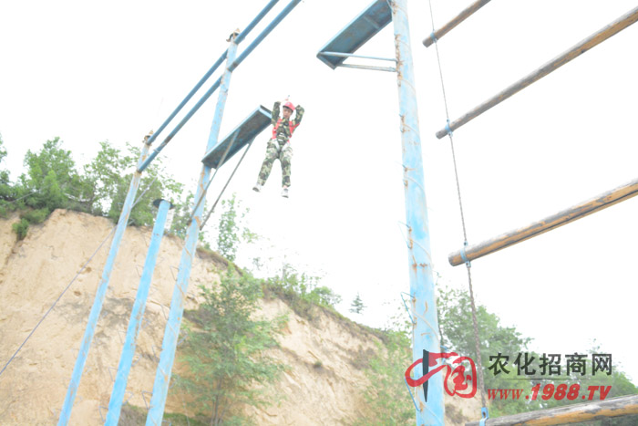 ��Щ����ֻ���ǲ����нY(ji��)������ֻ�����˲�֪���Լ��ɲ�����