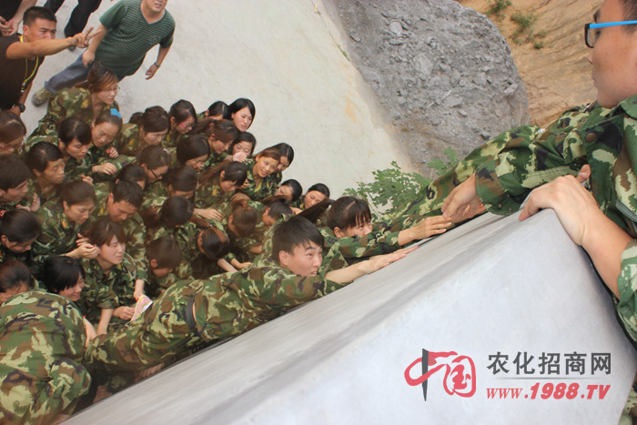 征服畢業(yè)墻