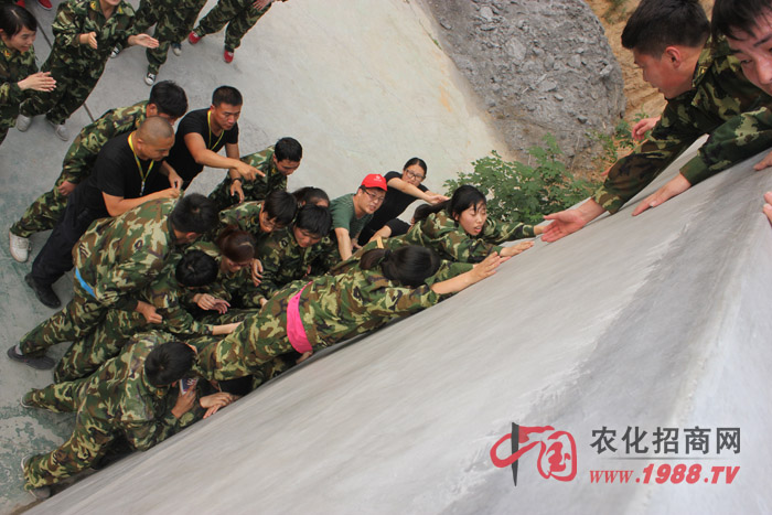 �����y������(zh��n)��ǰ����Ҷ������ľ���������w�F(xi��n)������(zh��n)���ң��۟��F(tu��n)�(du��)�ľ�����