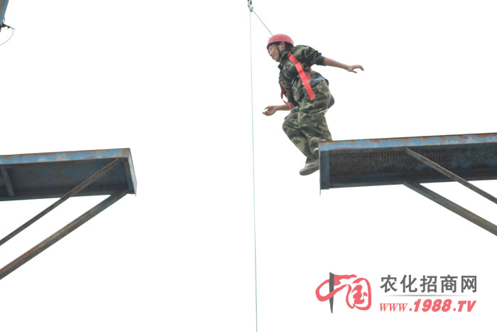 ��Ӗ(x��n)�нo��ӡ����̵��ǡ�ä�˷�ꇡ���������·���߿Ք����������I(y��)�����Ȏׂ�(g��)�(xi��ng)Ŀ����