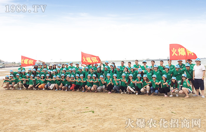 һ���������w��һ�N����