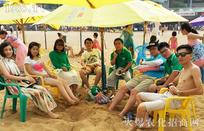 ���M(j��n)�B�Ƹۣ������������w����