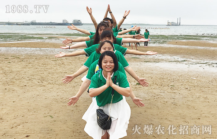 ���w������������