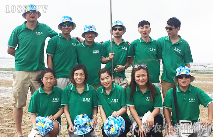     ��������Ƭ��