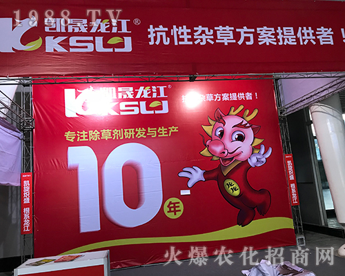 �������P��������2017������ֲ���p����¡������