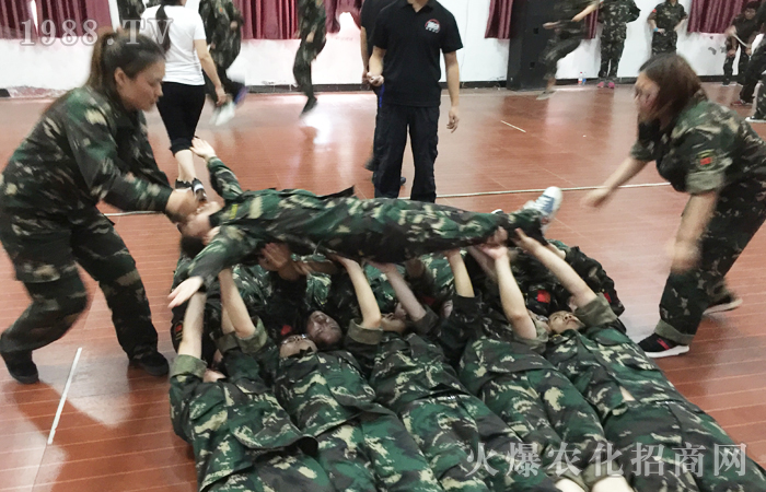 ͻ�ƘO�ޣ���������