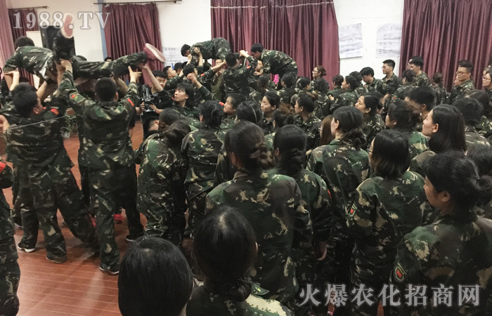 ���𱬾W(w��ng)2017��(d��ng)���X��Ӗ(x��n)���I(y��ng)����Ӗ(x��n)���Y(ji��)