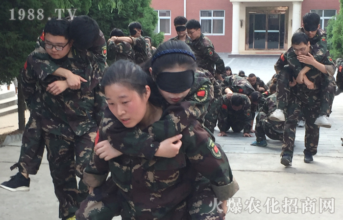 ��֮������������