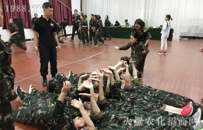 生活如畫,蛻變成你希望的樣子