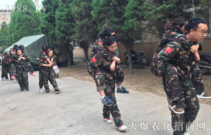 ���ҟo(w��)���`�����������X(ju��)��ʯ��