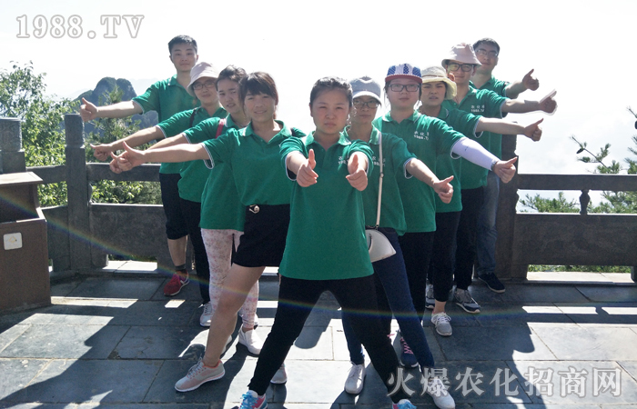 ����ɽ��������������ɽ���p����