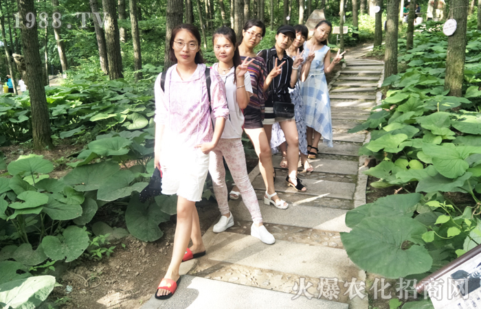 ��ꖰ���ɽ�������ƺ�֮�ϵĉ���