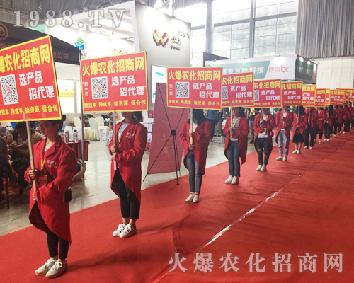 �o(w��)̎�����r(n��ng)���W(w��ng)���M(m��n)�۱M�ǻ𱬼t��