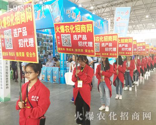 1988.TV��Ӣ�û��ļ����cȼ2017�����r(n��ng)�Y����