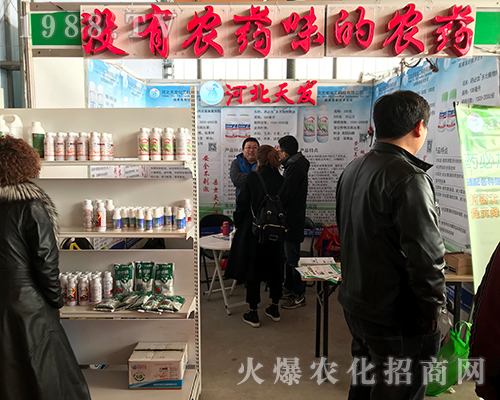 �ӱ���l(f��)������2018�ӱ�ʯ���fֲ����(hu��)��Ů���