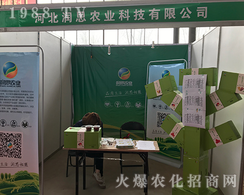 �ӱ���˼��(qi��ng)�ݳ���2018�ӱ�ʯ���fֲ����