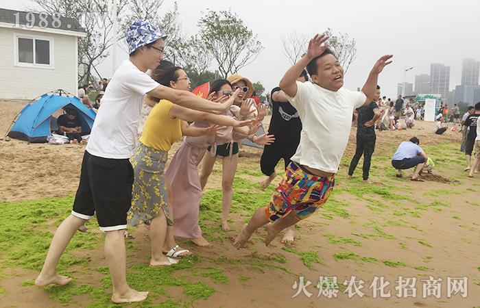 陽光、沙灘、海風,慢下來,讓生活多一些美好!