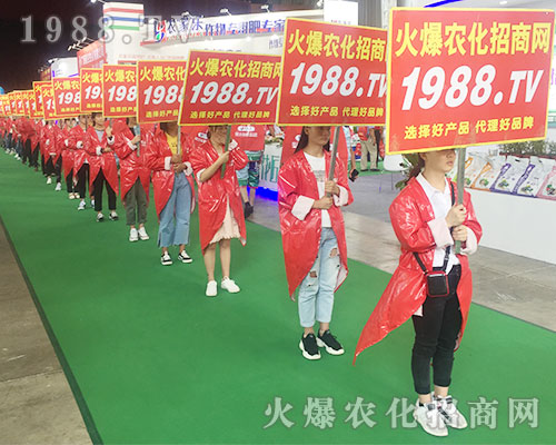 2018r(nng)Y1988.TVȫԸ