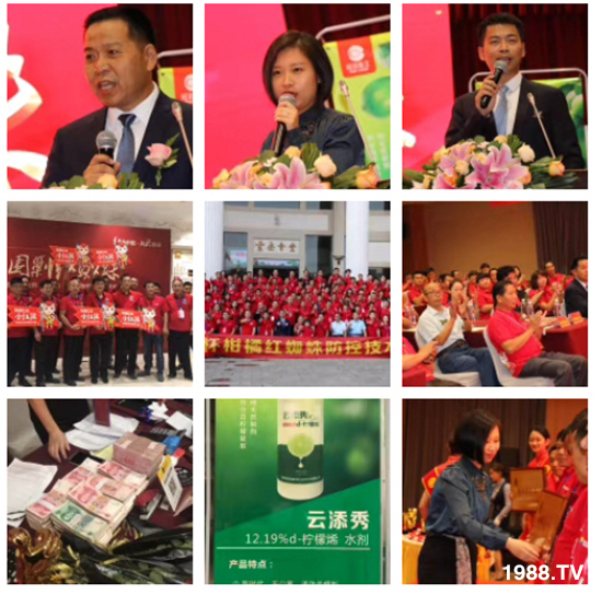 tƻףٸRT´