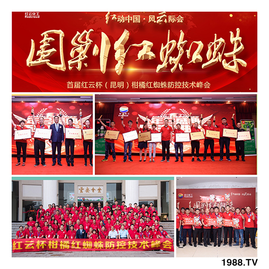 tƻףٸRT´