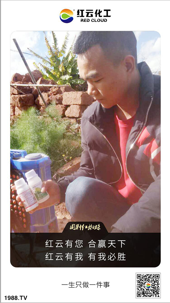 tƻףٸRT´