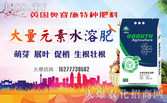 【英國(guó)奧睿施】祝您歡歡喜喜迎豬年,萬事如意平安年!