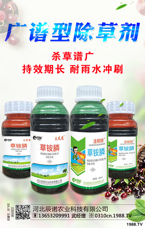 柑橘為什么不長(zhǎng)個(gè)?促進(jìn)柑橘長(zhǎng)個(gè)的措施有哪些?