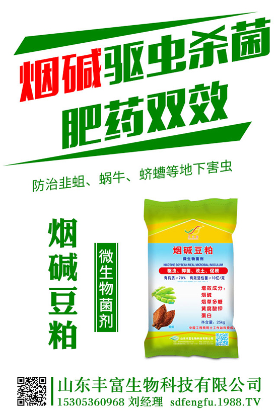 荷蘭豆什么時候種植適合?荷蘭豆秋季種植時間及技術!
