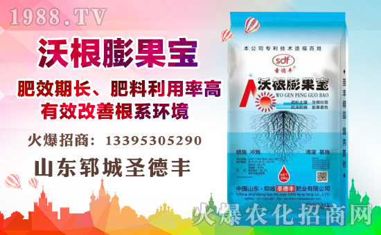 金秋十月!1988.TV喜迎新盟友!山東鄆城圣德豐強(qiáng)勢(shì)來襲!