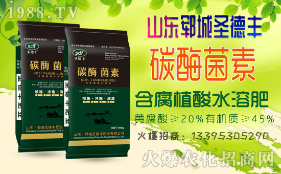 金秋十月!1988.TV喜迎新盟友!山東鄆城圣德豐強(qiáng)勢(shì)來襲!