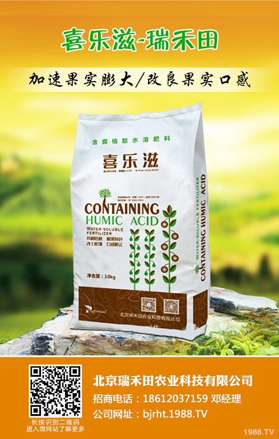 冬棗什么時間種植,冬棗高產(chǎn)管理技術(shù)!