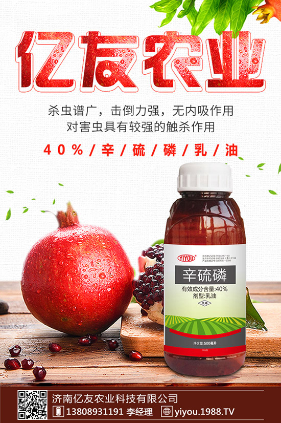 臘梅種子怎么種，臘梅種子種植方法！