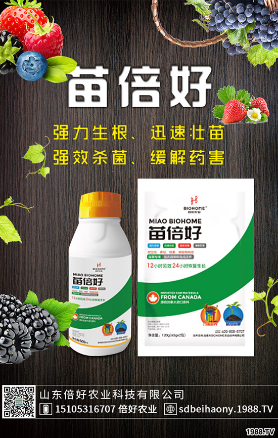 С�����N�󲻳����������ԭ��������С��������?