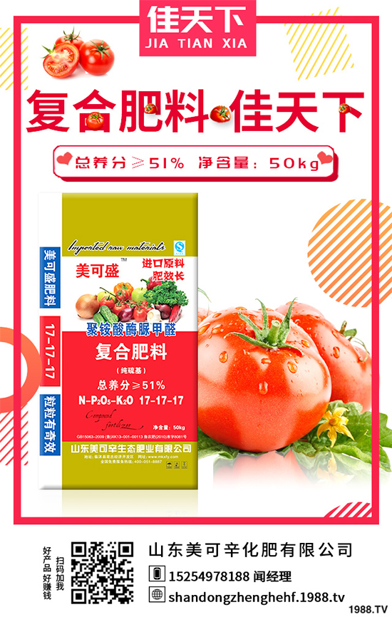 冬茬油麥菜該怎么種?掌握這幾點,輕松種出油麥菜!