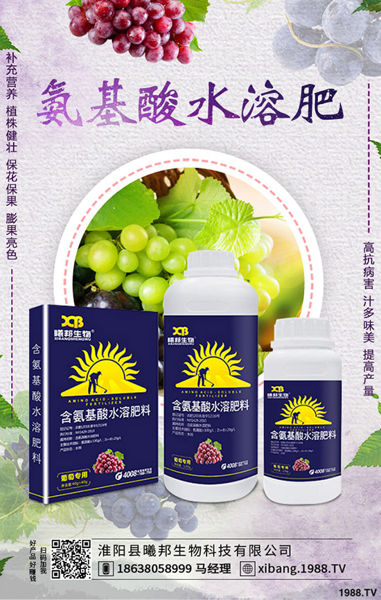 С���t����ηNֲ��С���t���ĸ߮a��������